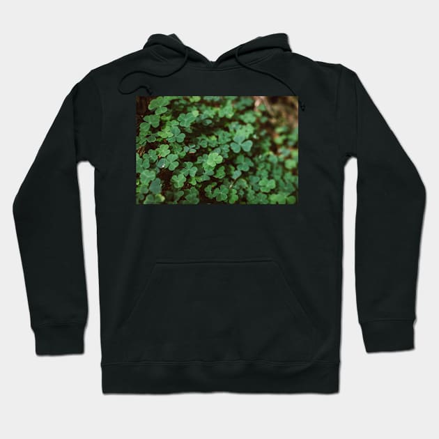 Forest Clovers Hoodie by Errne